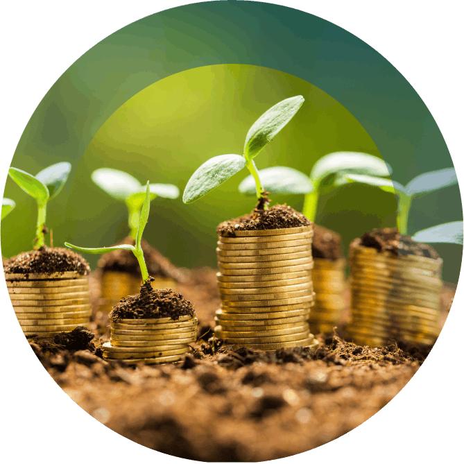 Money Market Account